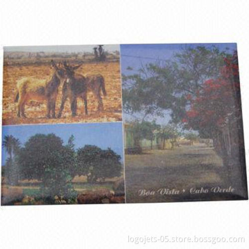 Paper Printed Refrigerator Magnet, Available in Different Shapes and Thicknesses